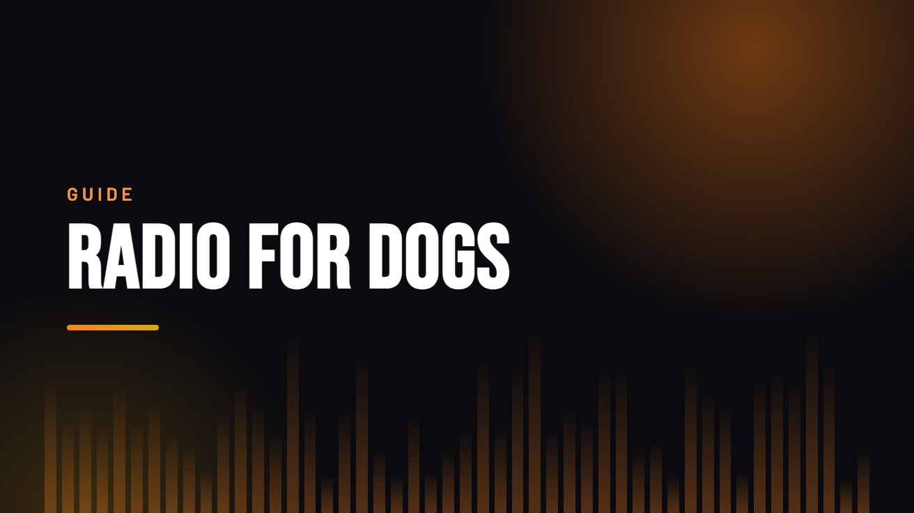 Title card for the guide: Radio for Dogs, in amber on black with an equaliser motif