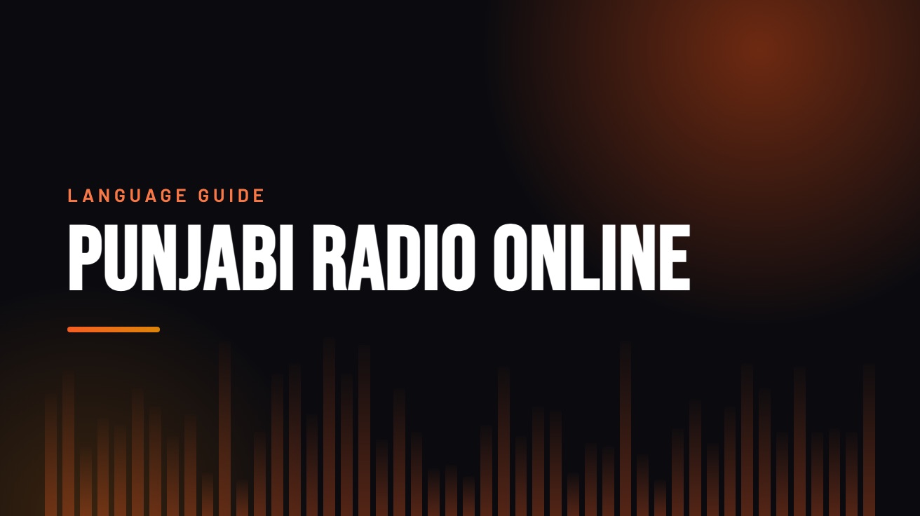 Title card for the guide: Punjabi Radio Online, in amber on black with an equaliser motif
